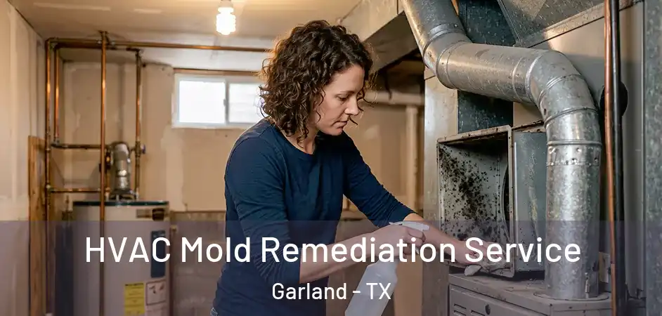  HVAC Mold Remediation Service Garland - TX