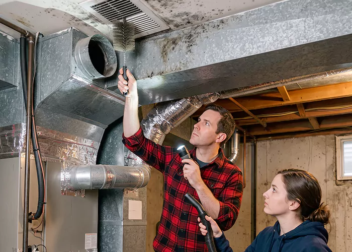 Premier HVAC Mold Remediation Company in Garland
